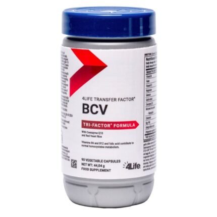 BCV Italia